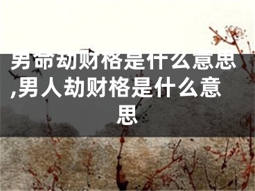 男命劫财格是什么意思,男人劫财格是什么意思