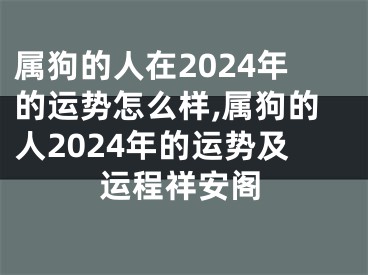 属狗的人在2024年的运势怎么样,属狗的人2024年的运势及运程祥安阁