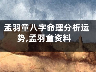 孟羽童八字命理分析运势,孟羽童资料