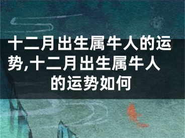 十二月出生属牛人的运势,十二月出生属牛人的运势如何
