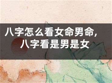 八字怎么看女命男命,八字看是男是女