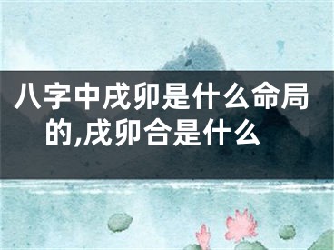八字中戌卯是什么命局的,戌卯合是什么