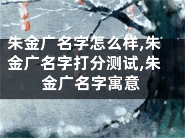 朱金广名字怎么样,朱金广名字打分测试,朱金广名字寓意