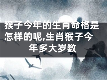 猴子今年的生肖命格是怎样的呢,生肖猴子今年多大岁数