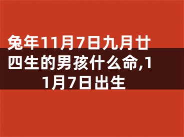 兔年11月7日九月廿四生的男孩什么命,11月7日出生