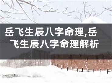 岳飞生辰八字命理,岳飞生辰八字命理解析