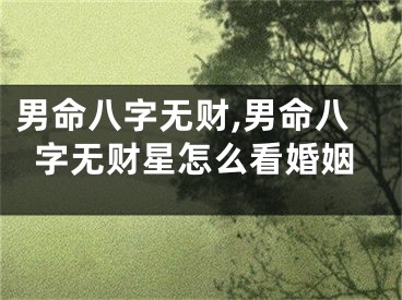 男命八字无财,男命八字无财星怎么看婚姻