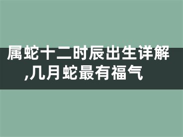 属蛇十二时辰出生详解,几月蛇最有福气