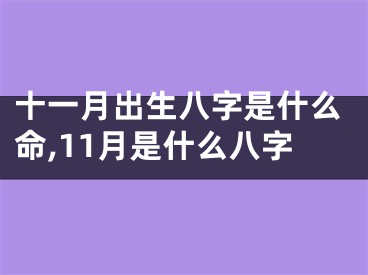 十一月出生八字是什么命,11月是什么八字