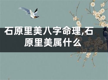 石原里美八字命理,石原里美属什么