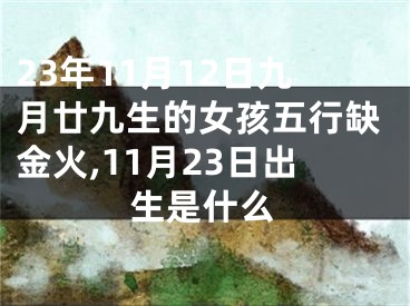 23年11月12日九月廿九生的女孩五行缺金火,11月23日出生是什么