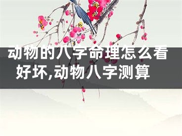 动物的八字命理怎么看好坏,动物八字测算
