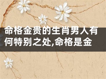 命格金贵的生肖男人有何特别之处,命格是金