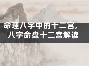 命理八字中的十二宫,八字命盘十二宫解读