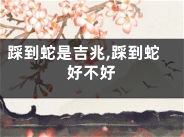 踩到蛇是吉兆,踩到蛇好不好