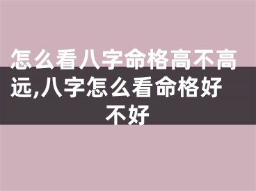 怎么看八字命格高不高远,八字怎么看命格好不好