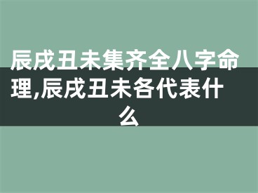 辰戌丑未集齐全八字命理,辰戌丑未各代表什么