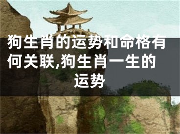 狗生肖的运势和命格有何关联,狗生肖一生的运势
