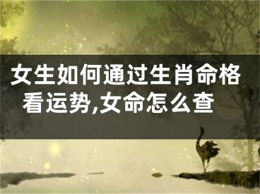 女生如何通过生肖命格看运势,女命怎么查