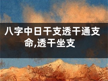 八字中日干支透干通支命,透干坐支