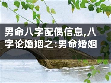 男命八字配偶信息,八字论婚姻之:男命婚姻