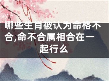 哪些生肖被认为命格不合,命不合属相合在一起行么