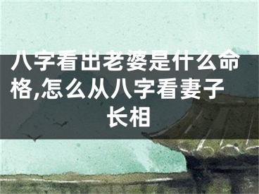 八字看出老婆是什么命格,怎么从八字看妻子长相