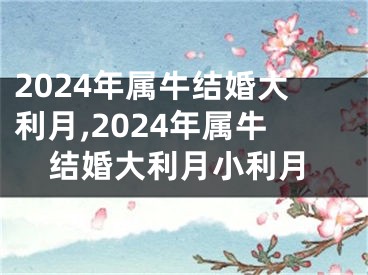 2024年属牛结婚大利月,2024年属牛结婚大利月小利月