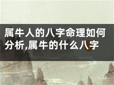 属牛人的八字命理如何分析,属牛的什么八字
