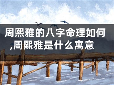 周熙雅的八字命理如何,周熙雅是什么寓意