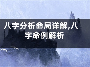 八字分析命局详解,八字命例解析