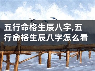 五行命格生辰八字,五行命格生辰八字怎么看