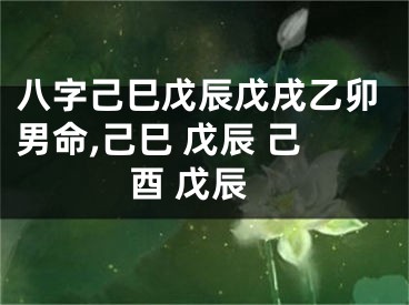 八字己巳戊辰戊戌乙卯男命,己巳 戊辰 己酉 戊辰
