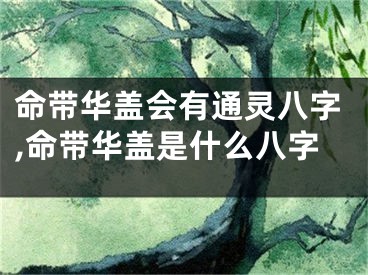 命带华盖会有通灵八字,命带华盖是什么八字