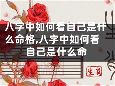八字中如何看自己是什么命格,八字中如何看自己是什么命