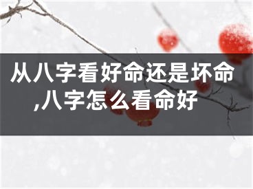 从八字看好命还是坏命,八字怎么看命好