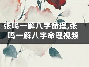 张鸣一解八字命理,张鸣一解八字命理视频