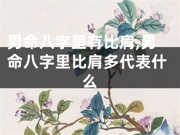 男命八字里有比肩,男命八字里比肩多代表什么