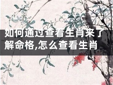 如何通过查看生肖来了解命格,怎么查看生肖