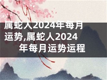 属蛇人2024年每月运势,属蛇人2024年每月运势运程