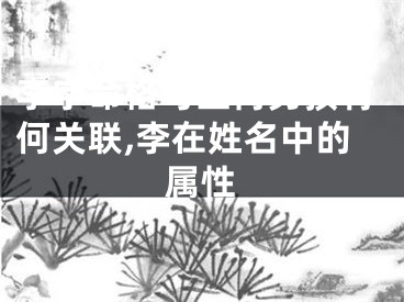 李字命格与生肖男孩有何关联,李在姓名中的属性