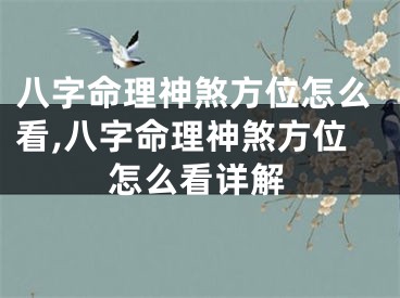 八字命理神煞方位怎么看,八字命理神煞方位怎么看详解