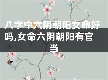 八字中六阴朝阳女命好吗,女命六阴朝阳有官当