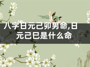 八字日元己卯男命,日元己巳是什么命