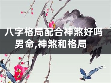 八字格局配合神煞好吗男命,神煞和格局