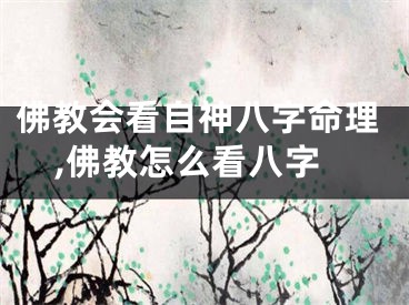 佛教会看自神八字命理,佛教怎么看八字