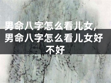 男命八字怎么看儿女,男命八字怎么看儿女好不好