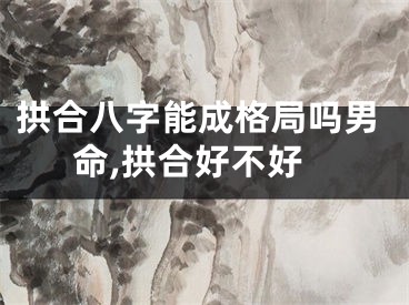 拱合八字能成格局吗男命,拱合好不好