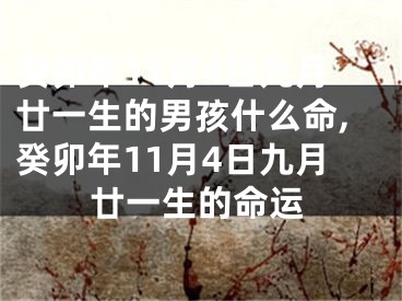 癸卯年11月4日九月廿一生的男孩什么命,癸卯年11月4日九月廿一生的命运