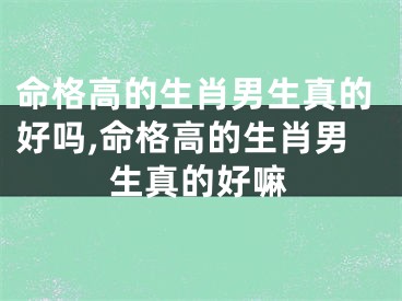 命格高的生肖男生真的好吗,命格高的生肖男生真的好嘛
